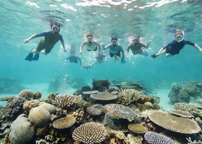 Okinawa: Full-Day Kerama Islands Snorkeling Tour from Naha whale watching Okinawa