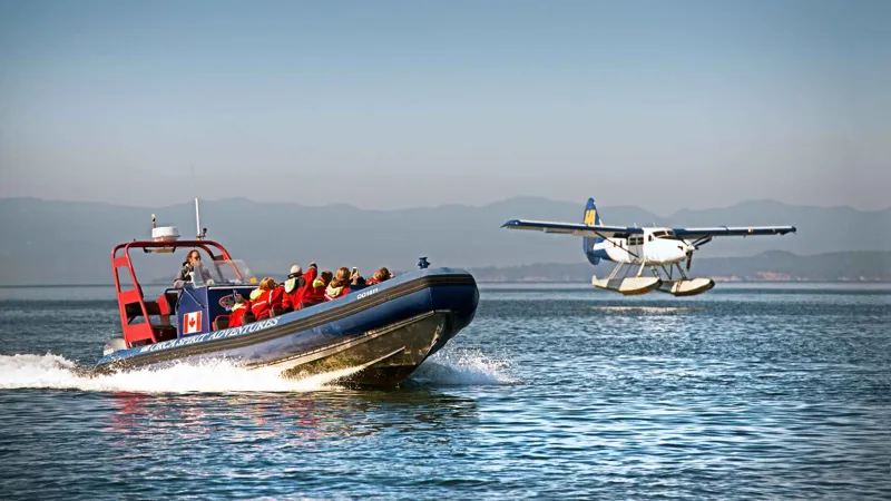 Vancouver: Victoria Day Trip by Seaplane and Whale Watching whale watching Vancouver